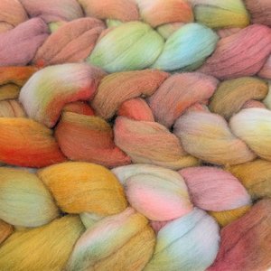 Hand Painted Top / Roving | Polwarth | Elderwood