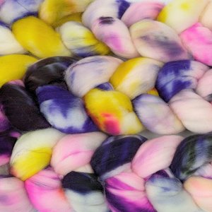 Hand Painted Top / Roving | Superwash 18.5 Micron Merino | Popple