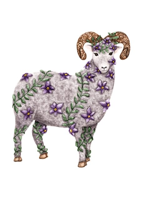 Art Print | Digital Download | Sheep