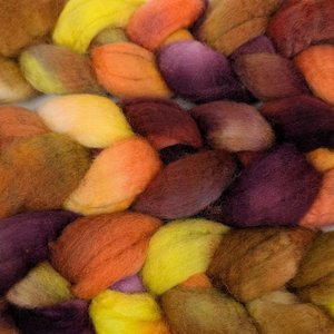 Hand Painted Top / Roving | BFL | Cornucopia