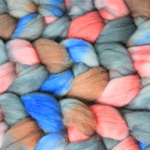 Hand Painted Top / Roving | Polwarth | Hidden Gems