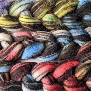 Hand Painted Top / Roving | Brown and White Corrriedale | Fireworks