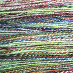 Handspun Yarn | Superwash Merino | Clown Barf