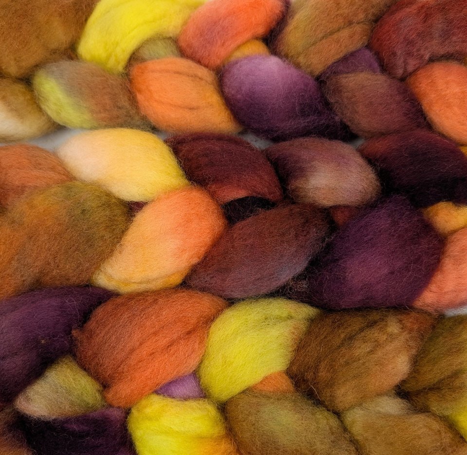 Hand Painted Top / Roving | BFL | Cornucopia