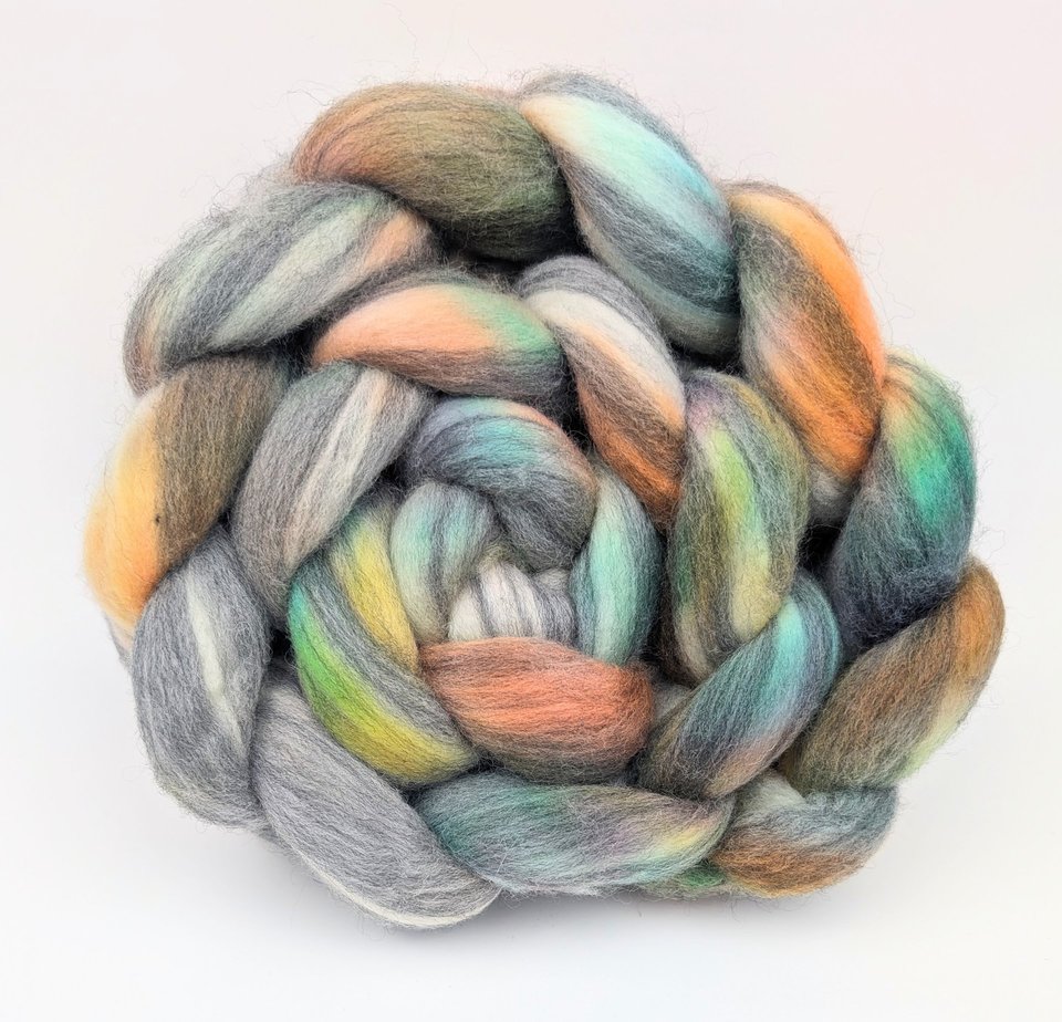 Hand Painted Top / Roving | Advent Day 6 | Merino | Soggy Biscuits