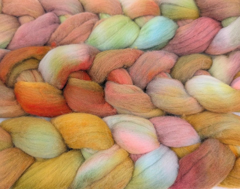 Hand Painted Top / Roving | Polwarth | Elderwood