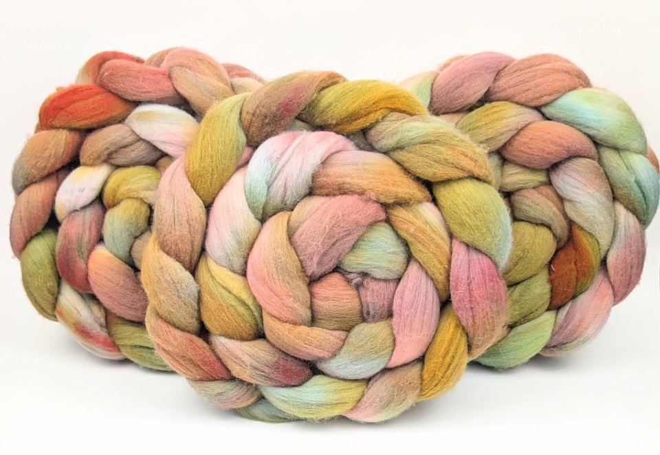 Hand Painted Top / Roving | Polwarth | Elderwood