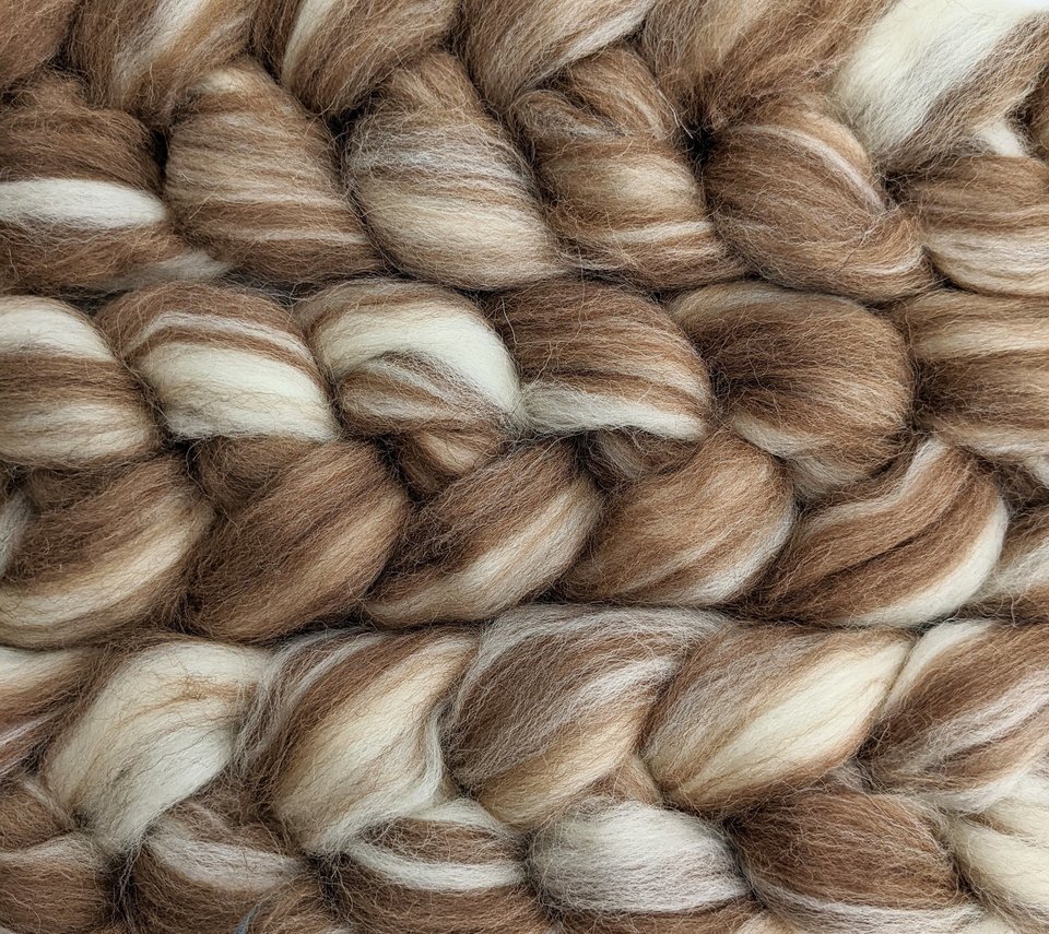 Shetland - Natural Roving - Undyed Combed Top - Blended Natural Colours
