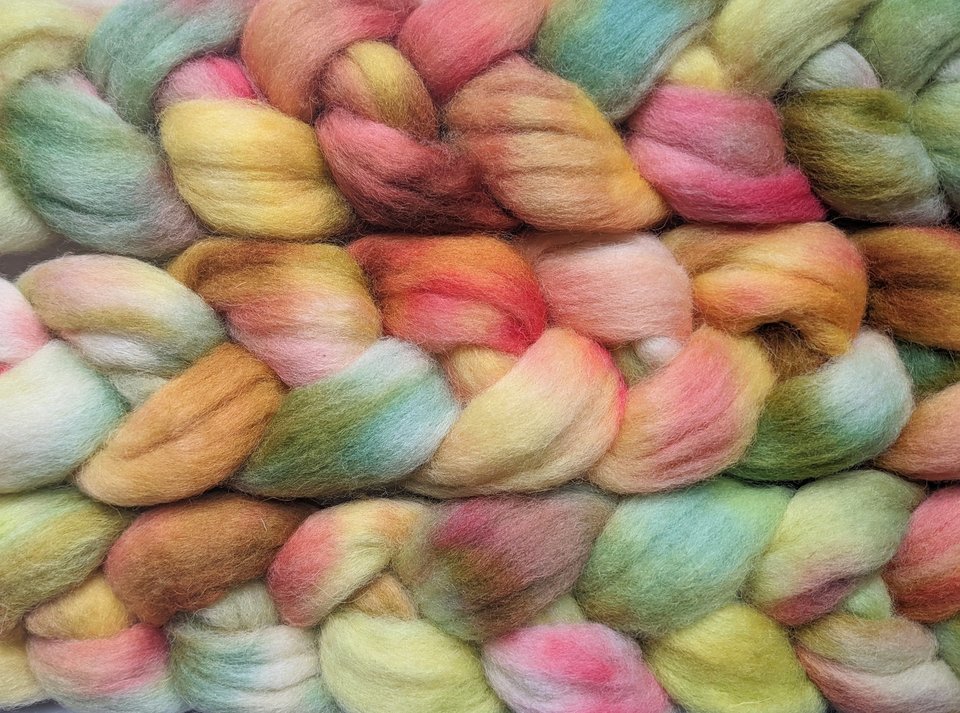Hand Painted Top / Roving | Cheviot | Sugar Maple