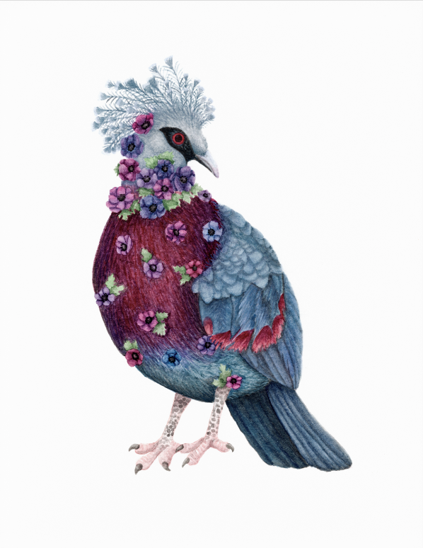 Art Print | Digital Download | Victoria Crowned Pigeon