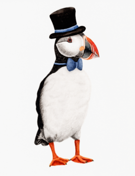 Art Print | Digital Download | Puffin