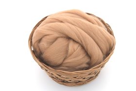 Baby Camel - Undyed Combed Top - Natural Roving - Spinning Fiber